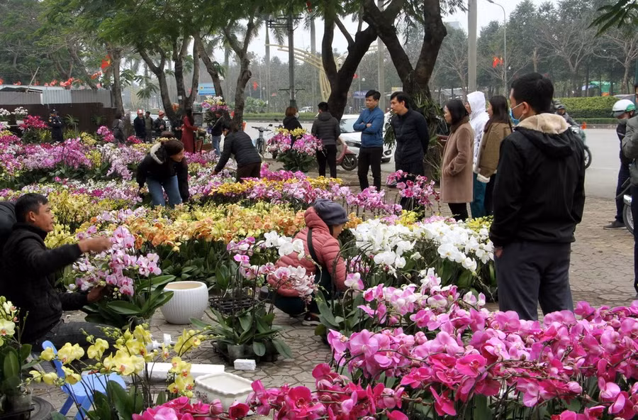 Không khí lạnh sẽ ảnh hưởng tới Bắc Bộ vào đúng dịp nghỉ Tết Nguyên đán Giáp Thìn. (Ảnh: Văn Tý/TTXVN)