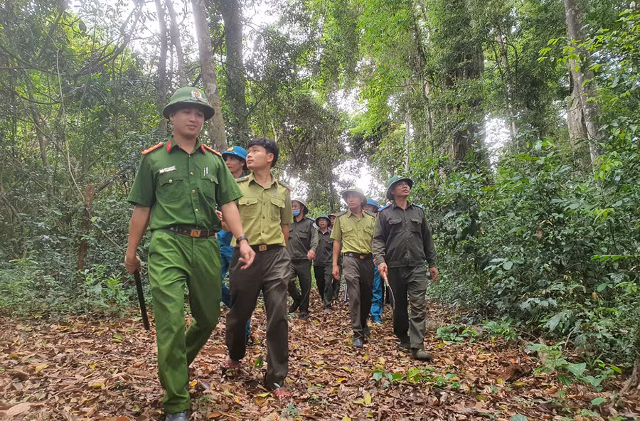 Cơ quan chức năng của huyện Kbang tiếp tục triển khai quyết liệt các giải pháp nhằm ngăn chặn hành vi xâm hại tài nguyên rừng. Ảnh: M.P