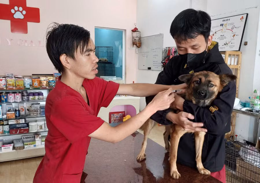 Người dân đưa chó đi tiêm vắc xin phòng bệnh dại. Ảnh: N.D Người dân đưa chó đi tiêm vắc xin phòng bệnh dại. Ảnh: N.D