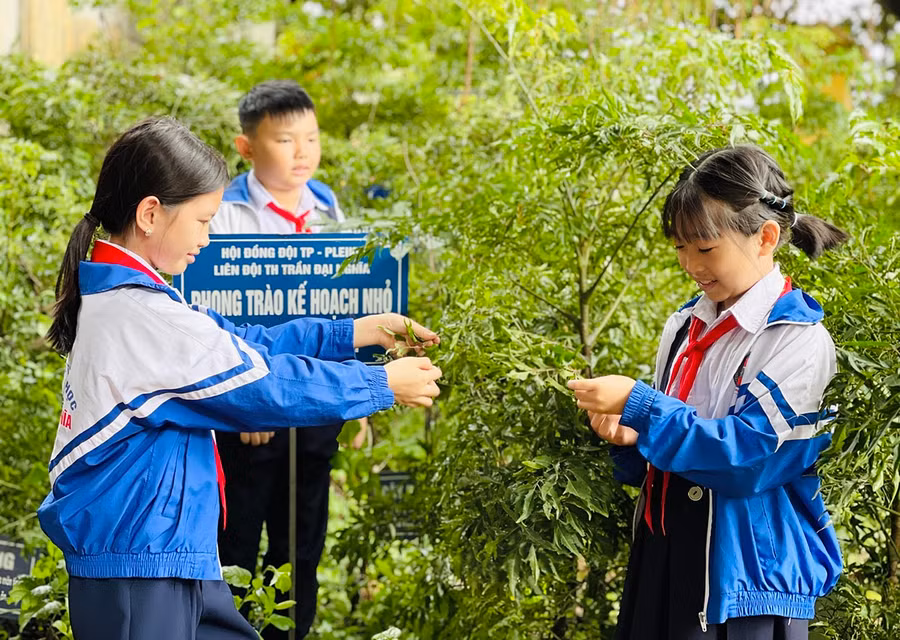 Hoạt động chăm sóc cây xanh giúp học sinh nâng cao kỹ năng sống. Ảnh: Mai Ka