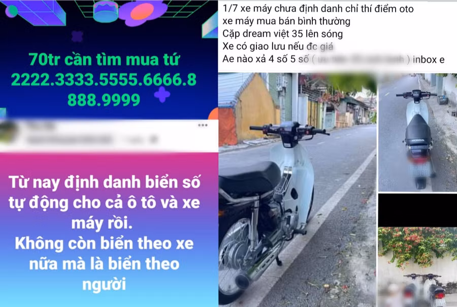 Liên tục xuất hiện thông tin tìm kiếm, thu gom biển số xe tứ quý, ngũ quý với mức giá cao. Ảnh chụp màn hình.