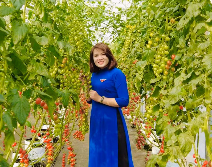 Chị Phạm Thị Mơ (tổ 4, phường Yên Thế, TP. Pleiku) là 1 trong 3 thanh niên tiêu biểu của tỉnh tham dự Diễn đàn Thanh niên khởi nghiệp quốc gia năm 2022. Ảnh: T.D