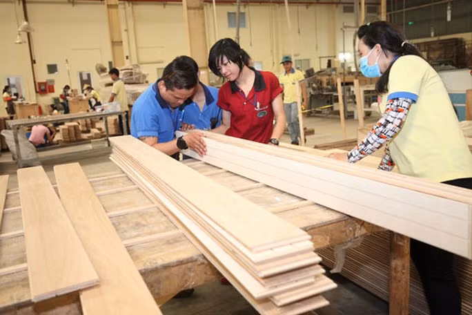 Xuất khẩu gỗ tăng trở lại - Ảnh 1. Nhà máy chế biến gỗ xuất khẩu đã có đơn hàng.