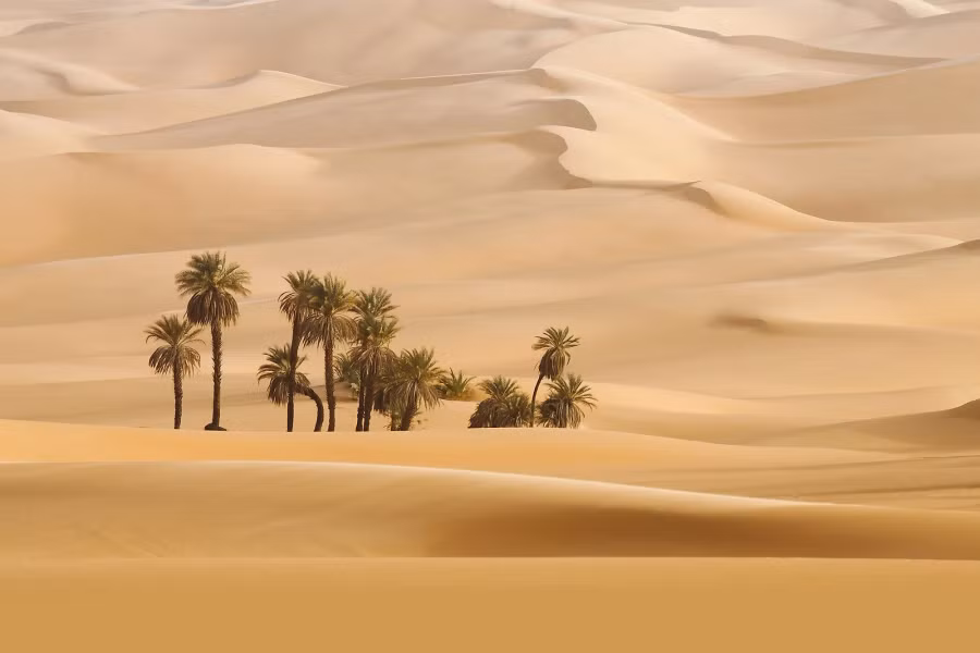 Ả Rập Saudi là đất nước không có sông Ả Rập Saudi là đất nước không có sông