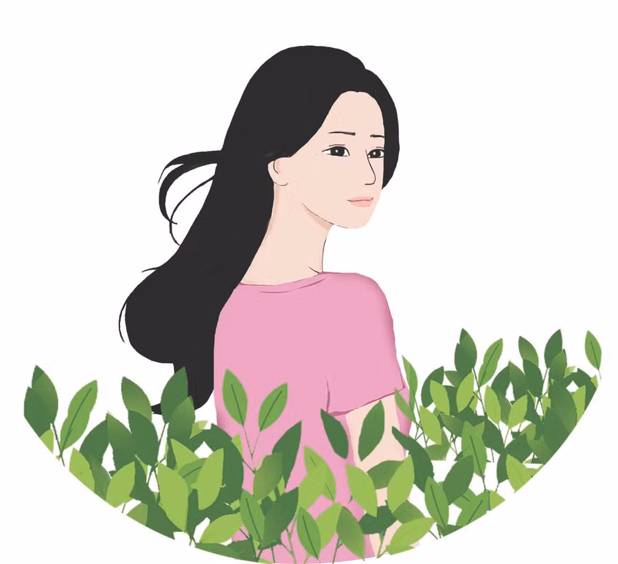 Minh họa: H.T Minh họa: H.T