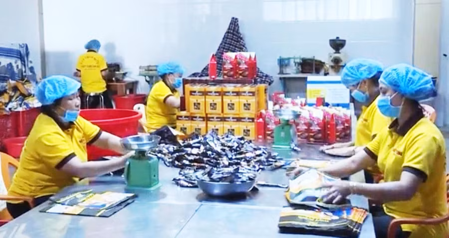 Phát huy thế mạnh vùng nguyên liệu cà phê, Công ty Thùy Dung Gia Lai đầu tư nhà máy thiết bị chế biến nhiều dòng sản phẩm cà phê chất lượng cao (ảnh đơn vị cung cấp). Phát huy thế mạnh vùng nguyên liệu cà phê, Công ty Thùy Dung Gia Lai đầu tư nhà máy thiết bị chế biến nhiều dòng sản phẩm cà phê chất lượng cao (ảnh đơn vị cung cấp).