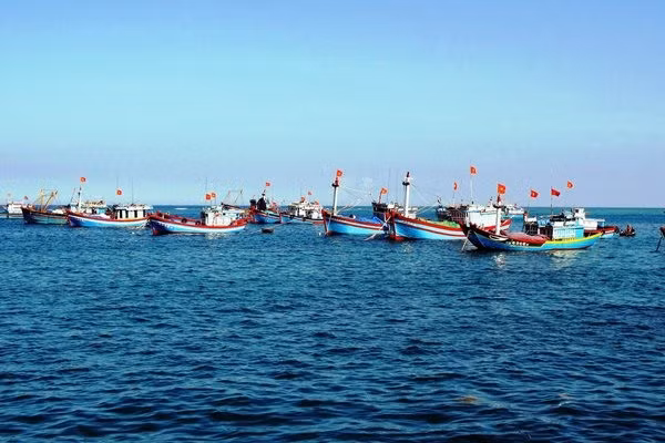 Tăng đầu tư hạ tầng nghề cá, đáp ứng được yêu cầu chống khai thác IUU. Ảnh nguồn internet