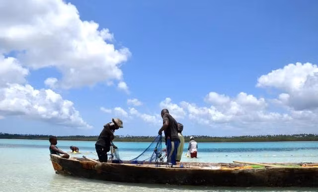 Vụ ngộ độc xảy ra tại đảo Pemba, Zanzibar. ẢNH: THE GUARDIAN