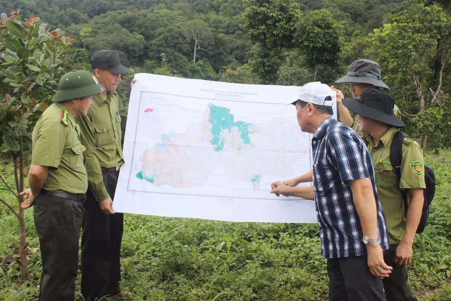 Lực lượng Kiểm lâm kiểm tra giám sát rừng tại huyện Ia Grai. Ảnh: N.H.H