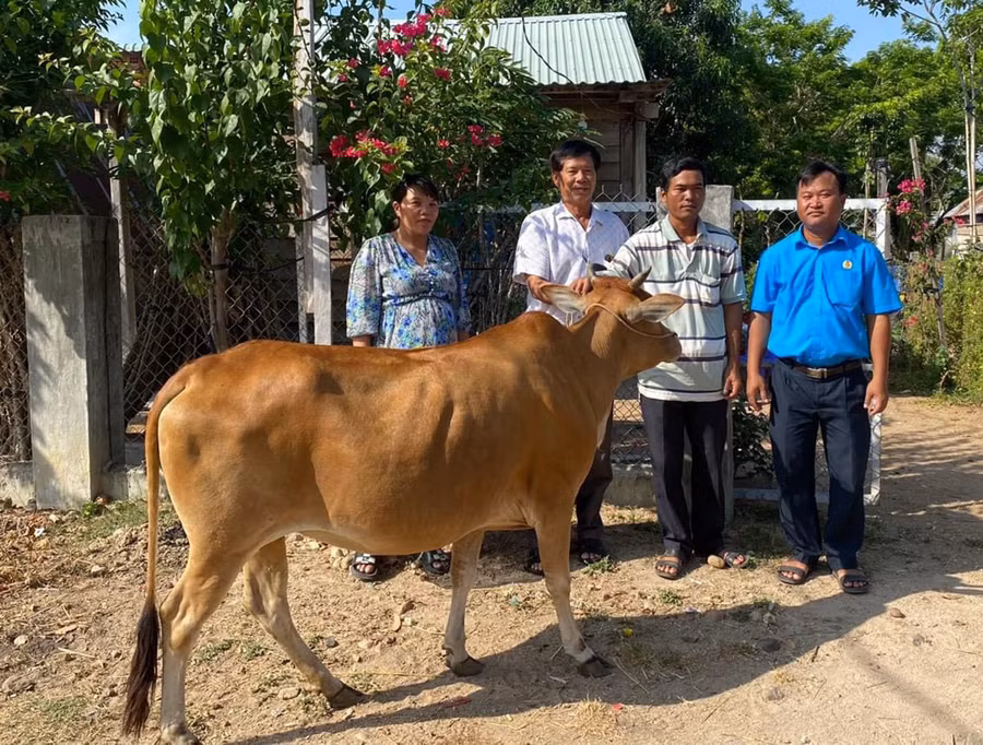 Công đoàn xã Ia Rmok trao bò sinh sản cho gia đình đoàn viên Kpă Đhua (buôn Blăk). Ảnh: Đan Trinh