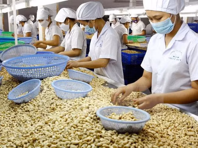 Xuất nhập khẩu tiếp tục đà tăng trở lại (ảnh minh họa)