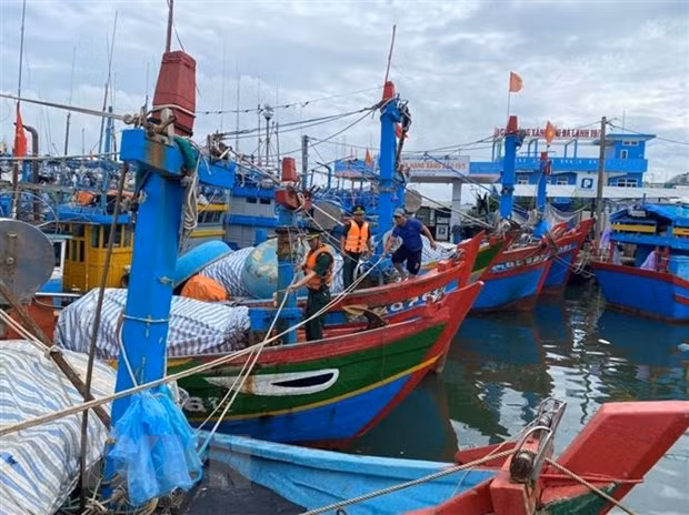 Tàu thuyền tránh trú bão. (Ảnh minh họa: Đinh Hương/TTXVN)
