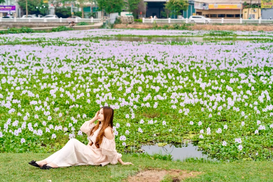"Khung cảnh ở cánh đồng hoa thực sự khiến mình bất ngờ, mình đã biết đến hoa lục bình hay ở quê thường gọi là hoa bèo, nhưng không ngờ ngay ở Thủ đô Hà Nội lại có một khung cảnh đẹp và bình yên đến vậy", nhóm bạn trẻ chia sẻ. "Khung cảnh ở cánh đồng hoa thực sự khiến mình bất ngờ, mình đã biết đến hoa lục bình hay ở quê thường gọi là hoa bèo, nhưng không ngờ ngay ở Thủ đô Hà Nội lại có một khung cảnh đẹp và bình yên đến vậy", nhóm bạn trẻ chia sẻ.