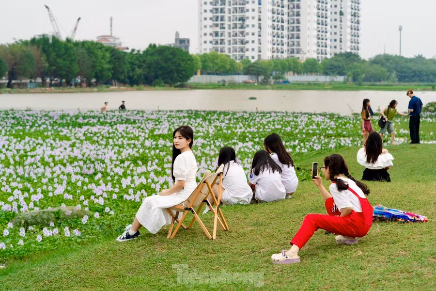 Nơi đây như được khoác lên mình một chiếc áo mới, thu hút giới trẻ tìm đến thưởng ngoạn và ghi lại những khoảnh khắc đẹp. Nơi đây như được khoác lên mình một chiếc áo mới, thu hút giới trẻ tìm đến thưởng ngoạn và ghi lại những khoảnh khắc đẹp.
