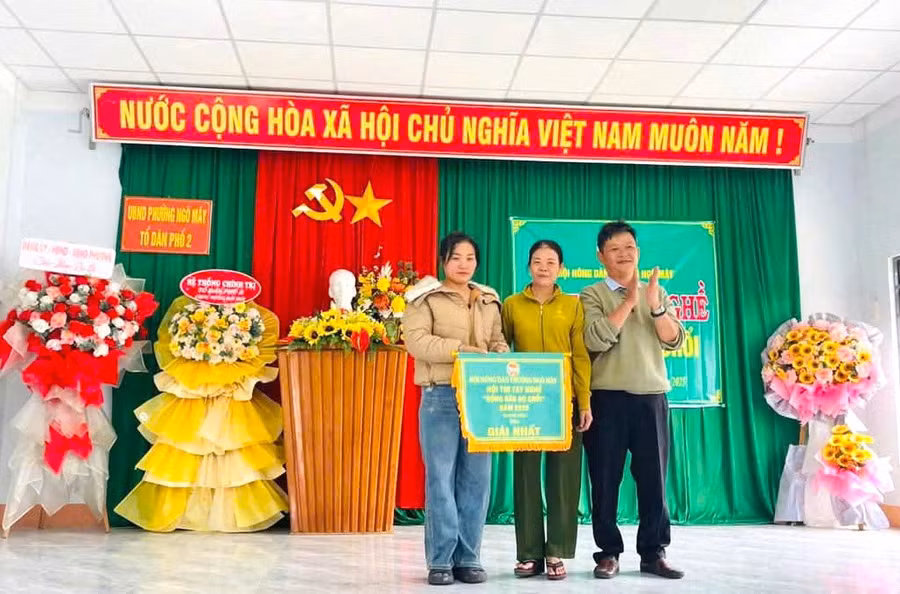 0d6c9a4d3d918dcfd480.jpg