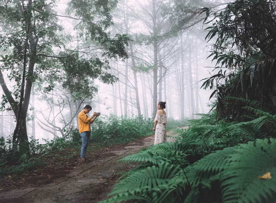 bzrb.jpg