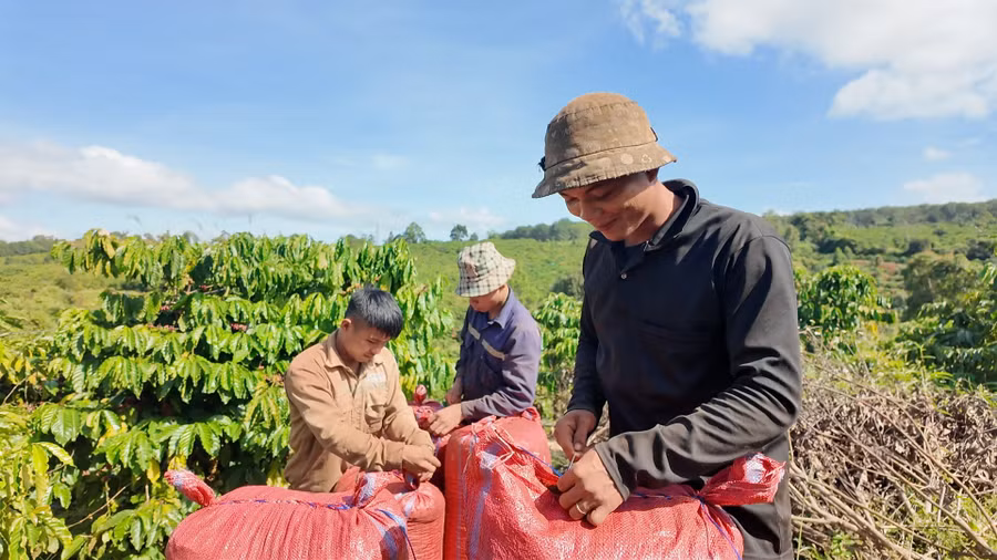 cac-nhan-cong-hao-hung-voi-thanh-qua-minh-da-thu-hoach-anh-ngoc-duy.jpg