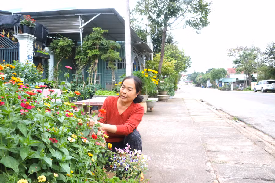 ba-nguyen-thi-hien-luong-to-8-thi-tran-kbang-cham-soc-luong-hoa-truoc-nha-diem-to-sac-mau-cho-pho-xa-them-sinh-dong-anh-ngoc-minh.jpg