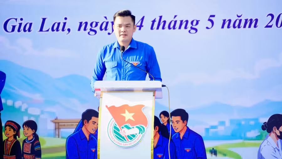 tinh-doan-gia-lai-phat-dong-chien-dich-thanh-nien-tinh-nguyen-he-2026-6.jpg
