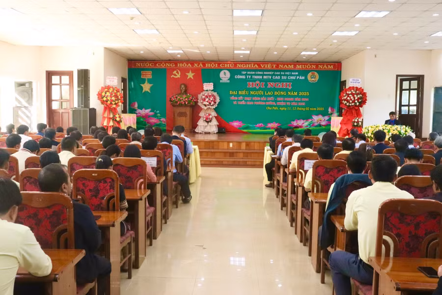 trong-nam-2024-cong-ty-tnhh-mot-thanh-vien-cao-su-chu-pah-da-hoan-thanh-vuot-muc-cac-chi-tieu-do-nha-nuoc-va-tap-doan-cong-nghiep-cao-su-viet-nam-giao-anh-lh.jpg