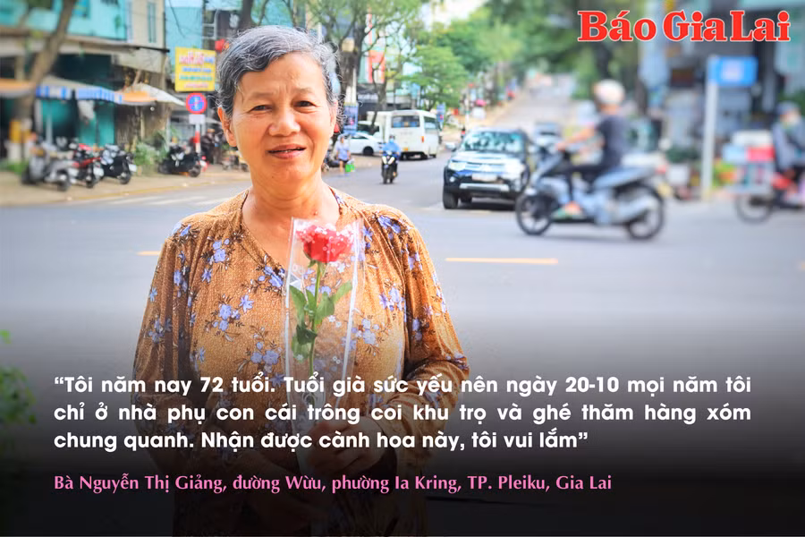 them-tieu-de-phu-2321.png