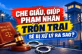 Che giấu, giúp phạm nhân trốn trại sẽ bị xử lý ra sao?