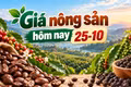Giá nông sản hôm nay (25-10): Cà phê mất mốc 90.000 đồng/kg, hồ tiêu đi ngang