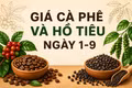 Ngày 1-9, giá cà phê tăng 400 đồng/kg, hồ tiêu đi ngang