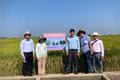 Sản xuất giảm phát thải trong lĩnh vực trồng trọt: Mở hướng tham gia thị trường tín chỉ carbon