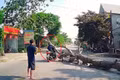 Chặt cây trước nhà, cây đổ đè chết người đi đường: Ai có thể chịu trách nhiệm, mức phạt ra sao?