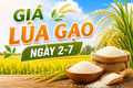 Giá lúa gạo ngày 2-7: Giữ mức ổn định cả trong nước lẫn xuất khẩu