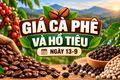 Ngày 13-9, giá cà phê giảm nhẹ 500 đồng/kg, hồ tiêu ổn định