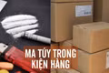 Hơn 10 kg ma túy trong những kiện hàng gửi từ Đức về Việt Nam
