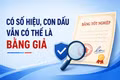 Có số hiệu, con dấu vẫn có thể là bằng giả: 5 bước kiểm tra để tránh rủi ro