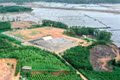 Gia Lai tăng cường bảo vệ môi trường, xử lý nghiêm các hành vi vi phạm