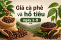 Ngày 2-9: Cà phê vừa tăng đã đứng giá, hồ tiêu tiếp tục ổn định