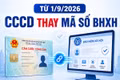 Từ 1-9 dùng số căn cước thay mã BHXH: Người dân có phải đổi sổ, thẻ BHYT?