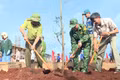 Các đồn biên phòng Ia Nan và Ia O ra quân trồng 600 cây xanh tại trường phổ thông nội trú liên cấp