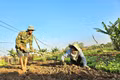 Gia Lai chuẩn bị phương án sẵn sàng ứng phó với thiên tai