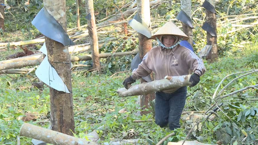 cong-nhan-cong-ty-tnhh-thao-nguyen-xanh-kbang-khan-truong-khac-phuc-hau-qua-sau-bao-so-13.jpg
