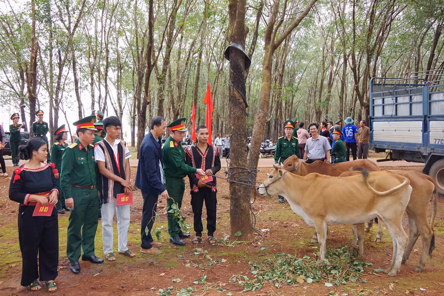lanh-dao-doan-kinh-te-quoc-phong-715-ban-giao-bo-giong-sinh-san-cho-nguoi-dan.jpg