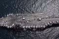  8 quân nhân thuộc nhóm tác chiến USS Abraham Lincoln từng tìm cách tự tử
