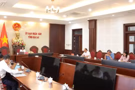 Rà soát công tác chuẩn bị Lễ hội Âm nhạc - Nghệ thuật Tây Nguyên