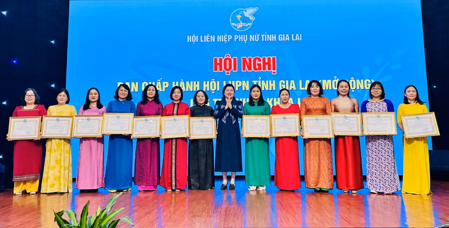 hoi-nghi-ban-chap-hanh-hoi-lhpn-tinh-5.jpg