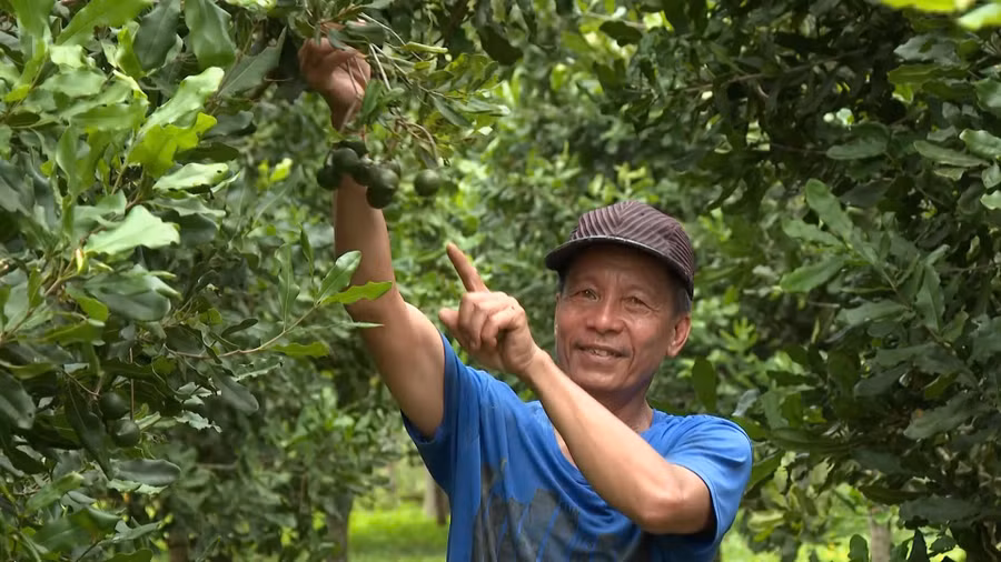 mac-ca-o-vinh-son.jpg