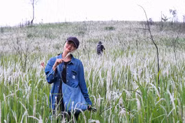 Qua miền cỏ tranh