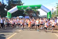 Hơn 1.300 người tham gia Giải chạy APC Green Color Run 2025