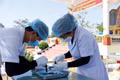 Gia Lai hoàn thành lấy mẫu sinh phẩm tại hơn 12.000 phần mộ liệt sĩ chưa có thông tin.