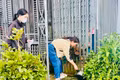 Người dân xã Biển Hồ vệ sinh môi trường, diệt lăng quăng/bọ gậy phòng, chống SXH. Ảnh: Như Nguyện