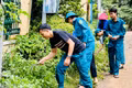Gia Lai tăng cường công tác phòng, chống sốt xuất huyết